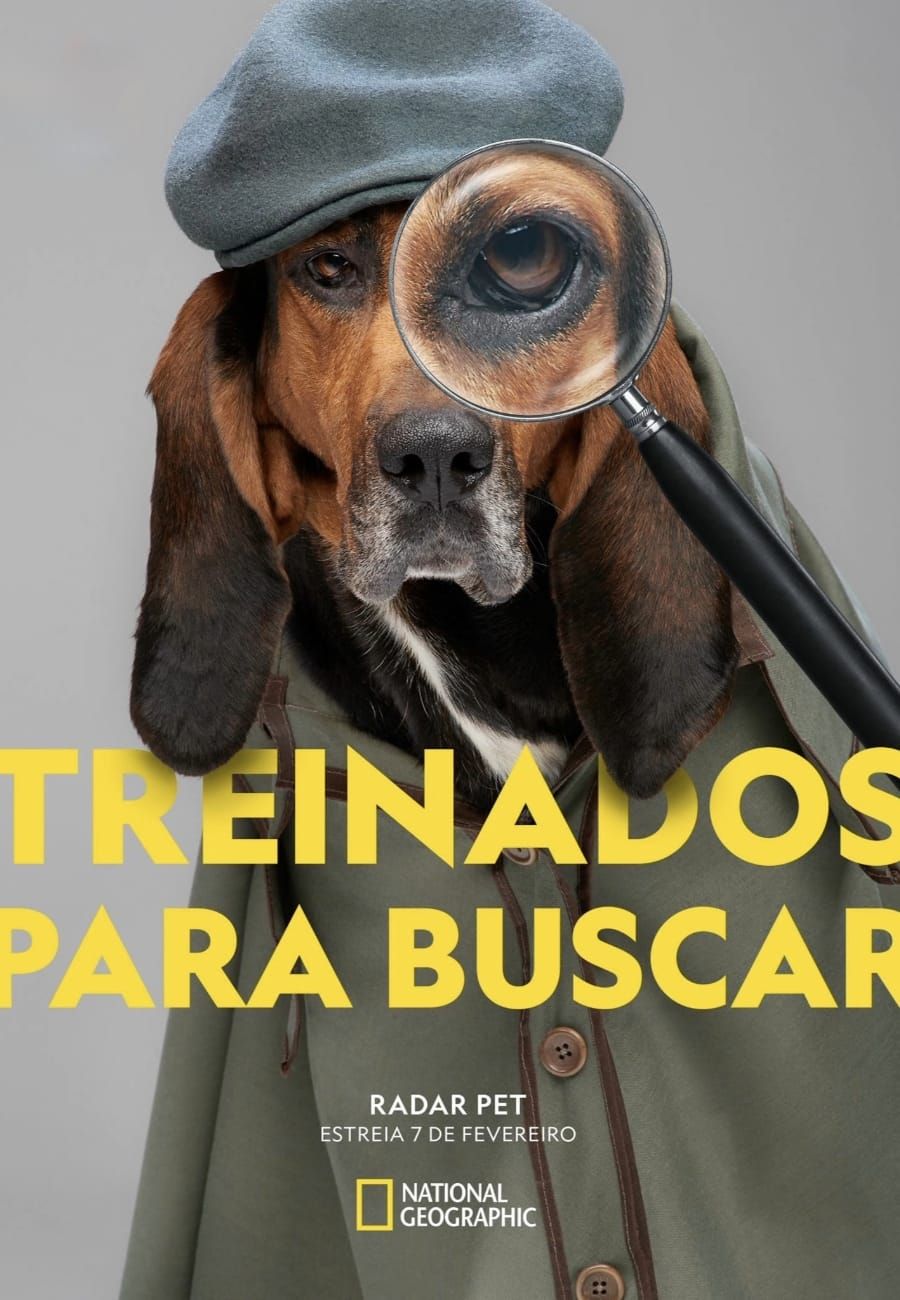 Radar Pet